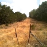 68 Acres of Pure Hill Country
